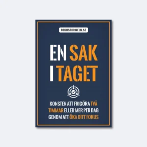 En sak i taget [e-bok]
